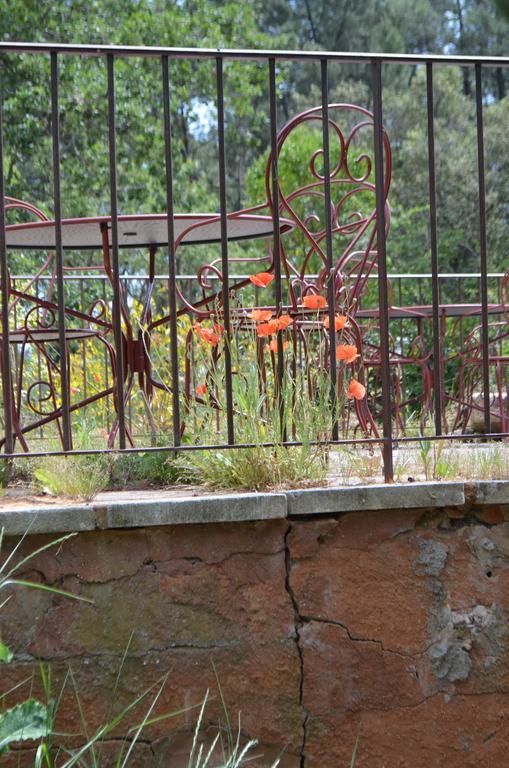 Roussillon en Isere La Maison Des Ocres - Provence المظهر الخارجي الصورة